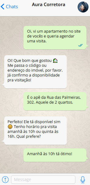 Conversa no WhatsApp