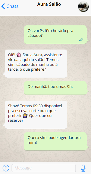 Conversa no WhatsApp